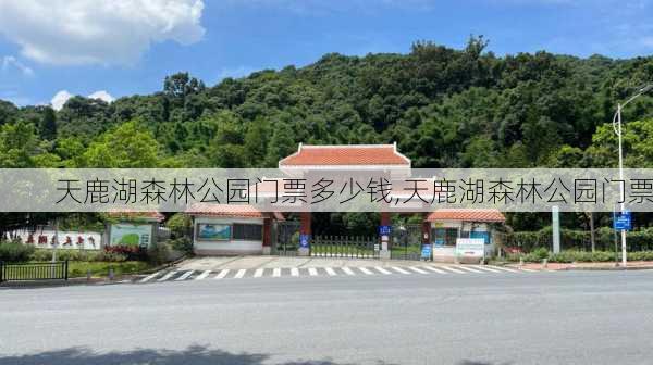 天鹿湖森林公园门票多少钱,天鹿湖森林公园门票