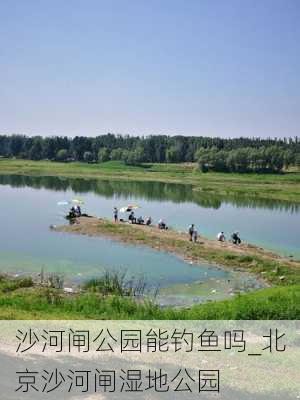 沙河闸公园能钓鱼吗_北京沙河闸湿地公园