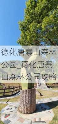 德化唐寨山森林公园_德化唐寨山森林公园攻略