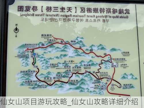 仙女山项目游玩攻略_仙女山攻略详细介绍