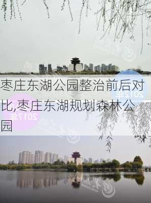 枣庄东湖公园整治前后对比,枣庄东湖规划森林公园