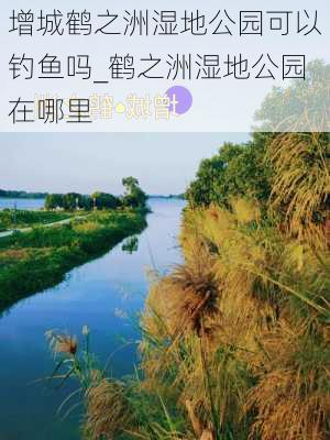 增城鹤之洲湿地公园可以钓鱼吗_鹤之洲湿地公园在哪里