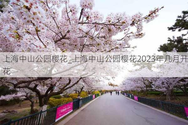 上海中山公园樱花_上海中山公园樱花2023年几月开花