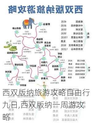 西双版纳旅游攻略自由行九日,西双版纳一周游攻略