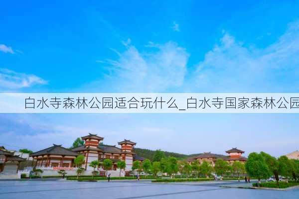 白水寺森林公园适合玩什么_白水寺国家森林公园