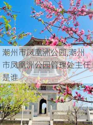 潮州市凤凰洲公园,潮州市凤凰洲公园管理处主任是谁