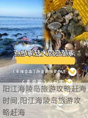 阳江海陵岛旅游攻略赶海时间,阳江海陵岛旅游攻略赶海