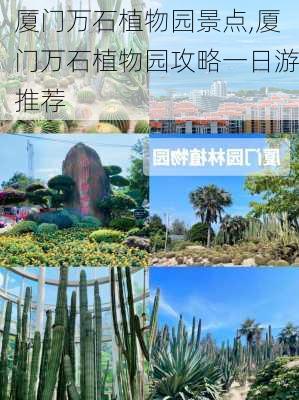 厦门万石植物园景点,厦门万石植物园攻略一日游推荐