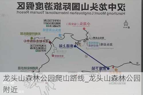 龙头山森林公园爬山路线_龙头山森林公园附近