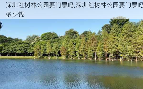 深圳红树林公园要门票吗,深圳红树林公园要门票吗多少钱