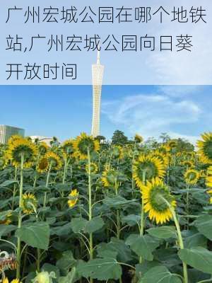 广州宏城公园在哪个地铁站,广州宏城公园向日葵开放时间