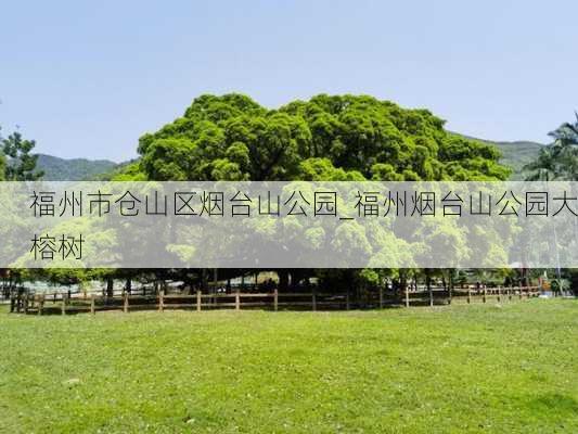 福州市仓山区烟台山公园_福州烟台山公园大榕树