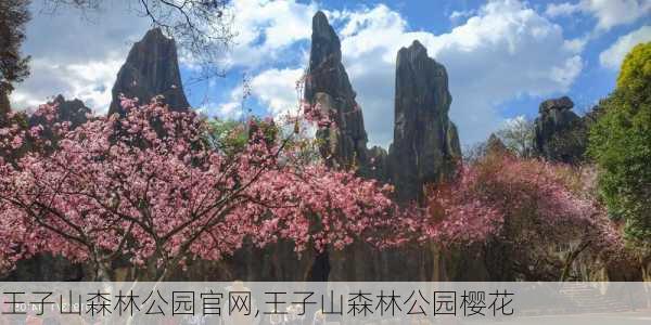 王子山森林公园官网,王子山森林公园樱花