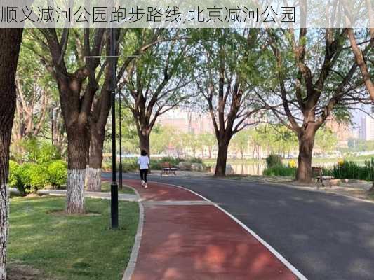 顺义减河公园跑步路线,北京减河公园