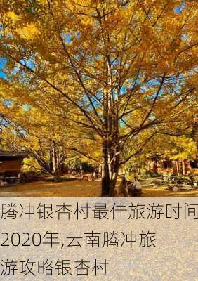 腾冲银杏村最佳旅游时间2020年,云南腾冲旅游攻略银杏村