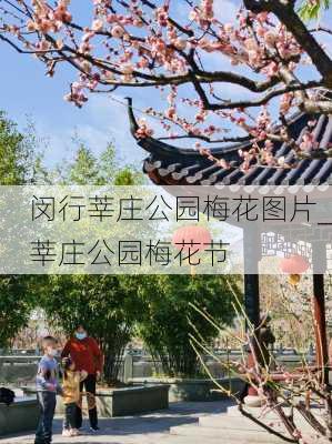 闵行莘庄公园梅花图片_莘庄公园梅花节