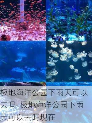 极地海洋公园下雨天可以去吗_极地海洋公园下雨天可以去吗现在