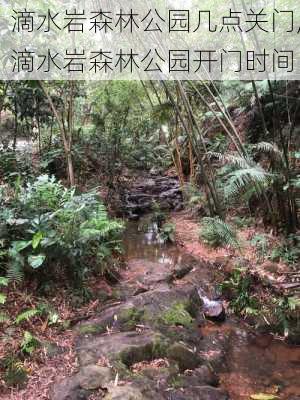 滴水岩森林公园几点关门,滴水岩森林公园开门时间