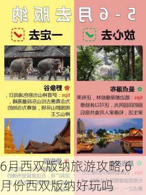 6月西双版纳旅游攻略,6月份西双版纳好玩吗