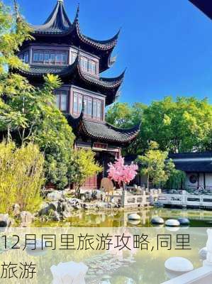 12月同里旅游攻略,同里 旅游