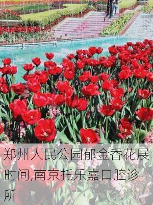 郑州人民公园郁金香花展时间,南京托乐嘉口腔诊所