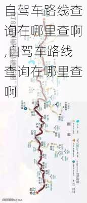 自驾车路线查询在哪里查啊,自驾车路线查询在哪里查啊