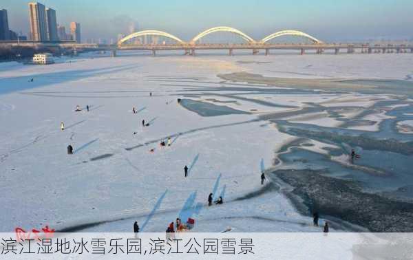 滨江湿地冰雪乐园,滨江公园雪景