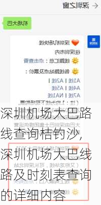 深圳机场大巴路线查询桔钓沙,深圳机场大巴线路及时刻表查询的详细内容