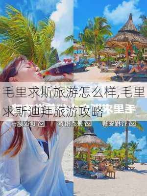 毛里求斯旅游怎么样,毛里求斯迪拜旅游攻略