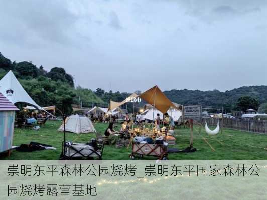 崇明东平森林公园烧烤_崇明东平国家森林公园烧烤露营基地