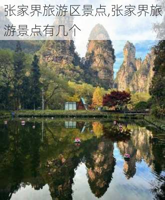 张家界旅游区景点,张家界旅游景点有几个