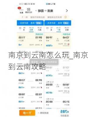 南京到云南怎么玩_南京到云南攻略