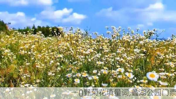 一()野菊花填量词,蠡湖公园门票