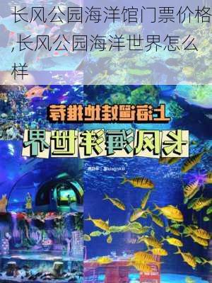 长风公园海洋馆门票价格,长风公园海洋世界怎么样