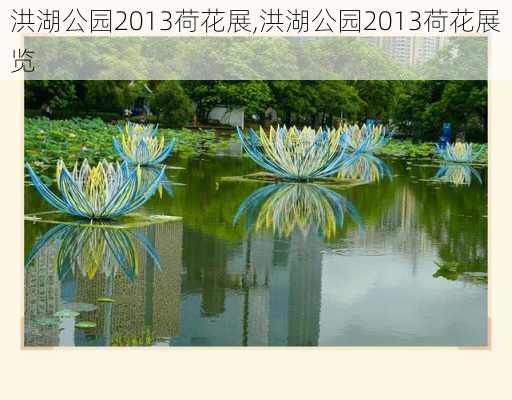 洪湖公园2013荷花展,洪湖公园2013荷花展览