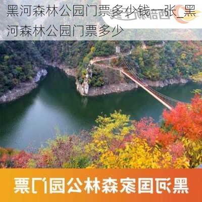 黑河森林公园门票多少钱一张_黑河森林公园门票多少