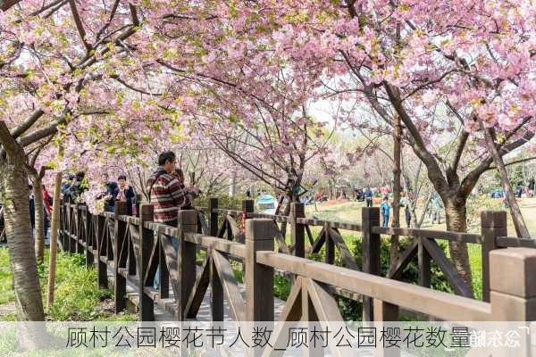 顾村公园樱花节人数_顾村公园樱花数量