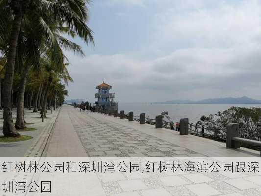 红树林公园和深圳湾公园,红树林海滨公园跟深圳湾公园