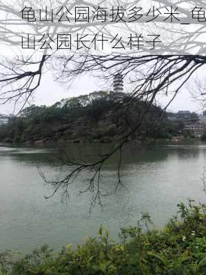 龟山公园海拔多少米_龟山公园长什么样子