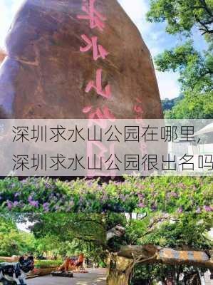 深圳求水山公园在哪里,深圳求水山公园很出名吗