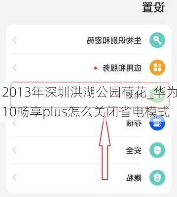 2013年深圳洪湖公园荷花_华为10畅享plus怎么关闭省电模式