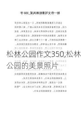 松林公园作文350,松林公园的美景照片