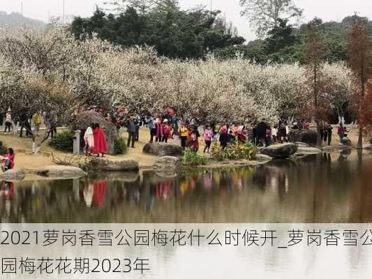 2021萝岗香雪公园梅花什么时候开_萝岗香雪公园梅花花期2023年