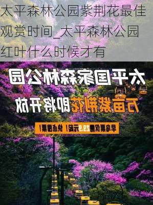 太平森林公园紫荆花最佳观赏时间_太平森林公园红叶什么时候才有