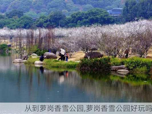 从到萝岗香雪公园,萝岗香雪公园好玩吗