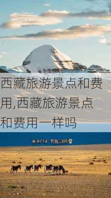 西藏旅游景点和费用,西藏旅游景点和费用一样吗