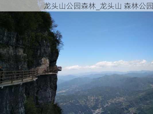 龙头山公园森林_龙头山 森林公园