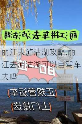 丽江去泸沽湖攻略,丽江去泸沽湖可以自驾车去吗