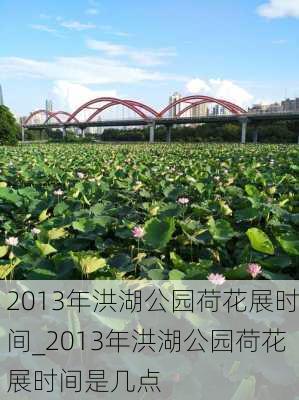 2013年洪湖公园荷花展时间_2013年洪湖公园荷花展时间是几点