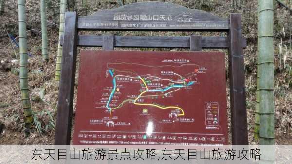 东天目山旅游景点攻略,东天目山旅游攻略